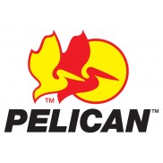 Pelican Banner